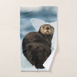 Loutre de mer fraîche