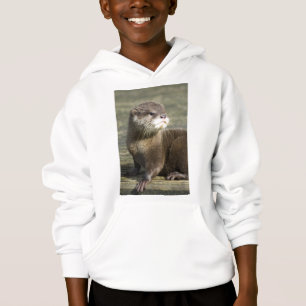 Loutre mignonne de bébé