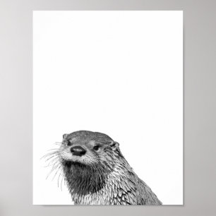 Loutre Noir Blanc Affiche Photo de la Cabane de la