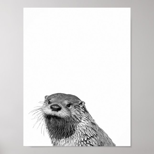 Loutre Noir Blanc Affiche Photo de la Cabane de la