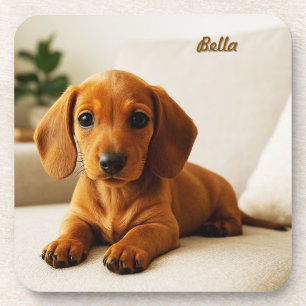 Lovable Dachshund Personalized Coaster Set
