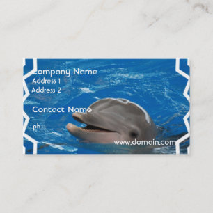 Lovable Dolphin Business Card