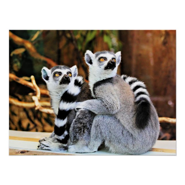 Lovable Lemurs Poster (Front)