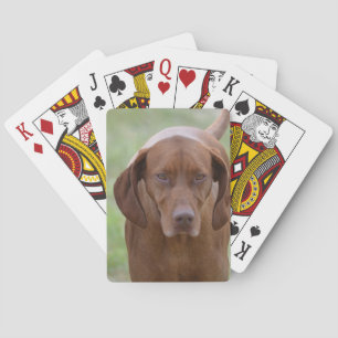 Lovable Vizsla Playing Cards