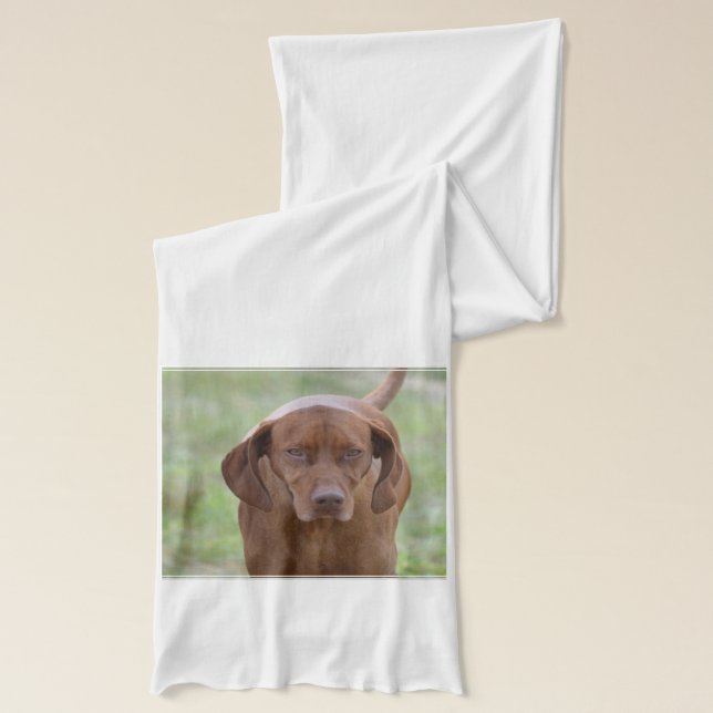 Lovable Vizsla Scarf (Left)