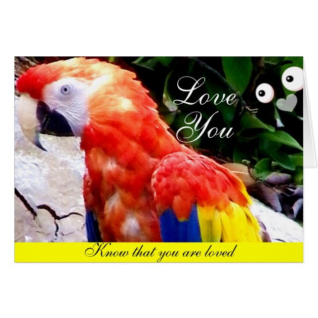 Love_ (Front Horizontal)