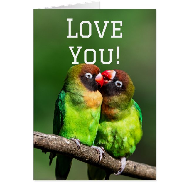Love  (Front)
