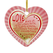 LOVE 1 Corinthians 13 :7 NLT  ENDURES