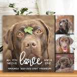 LOVE & a DOG Personalized Dog Lover Photo Collage  Plaque<br><div class="desc">All You Need Is Love And A Dog ! Celebrate your best friend with a custom unique dog photo plaque and keepsake. Surprise your favourite dog lover, whether is a birthday, Mother's day, valentines day, or Christmas with this cute love photo dog plaque. This Love with paw print design dog...</div>