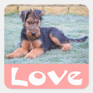 Love Airedale Terrier Puppy Dog Pink Sticker