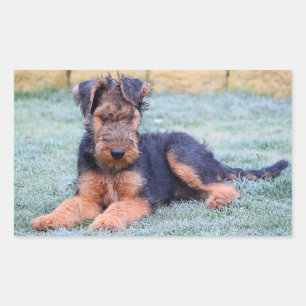 Love Airedale Terrier Puppy Dog Sticker
