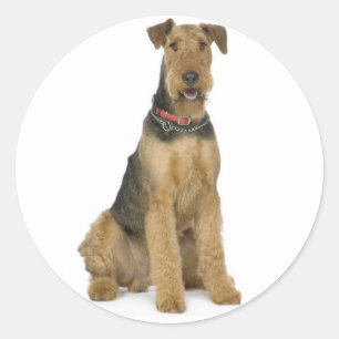 Love Airedale Terrier Puppy Dog Sticker