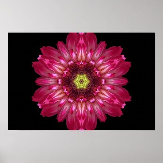 Love Allows Flower Mandala Poster (Front)