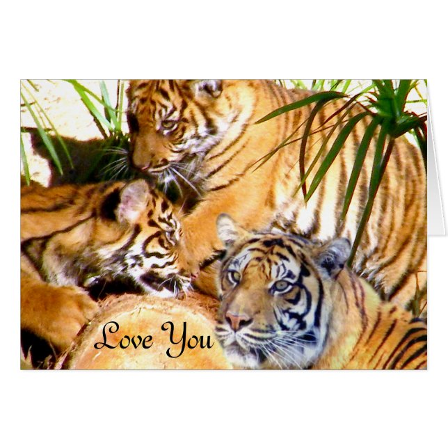 Love Always,Tigers_ (Front Horizontal)
