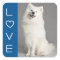 Love American Eskimo Puppy Dog Sticker / Label