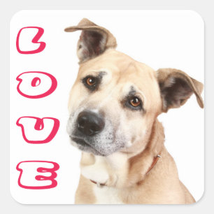 Love American Staffordshire Terrier Dog Sticker