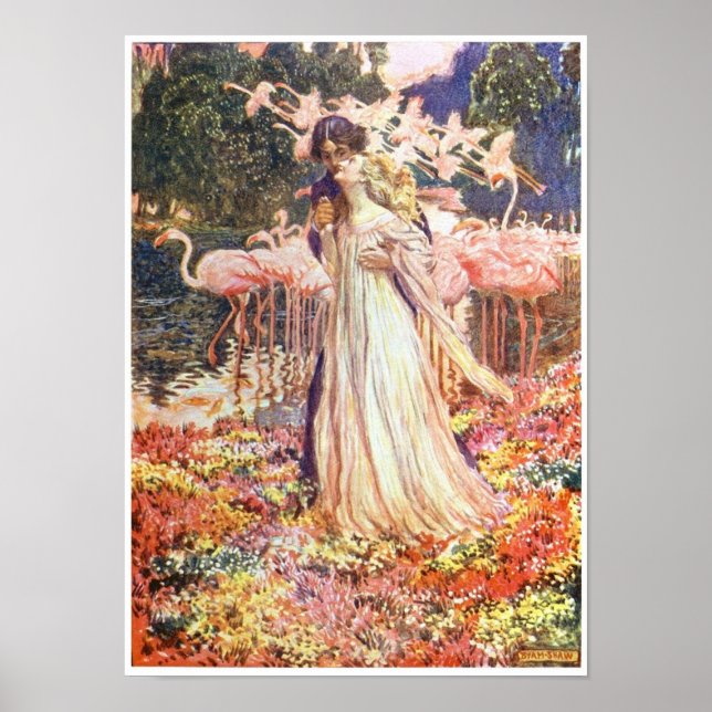Love among the flamingos vintage poster (Front)