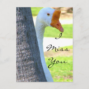 Love/Any Occasion_Postcard Postcard