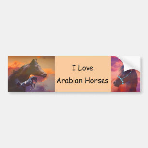 Love Arabians Bumper Sticker