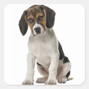 Love Beagle Puppy Dog Canine Sticker Seal