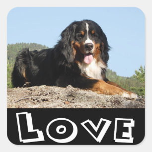 Love Bernese Puppy Dog Sticker / Seal