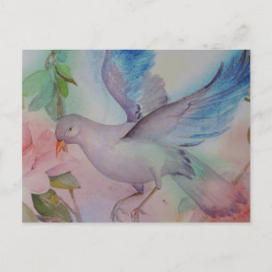 Love Bird in Blue and Pink Postcard