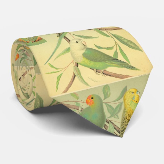 love birds  and parakeets tie (Rolled)