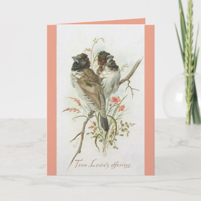 Love Birds Anniversary Greeting Card (Front)
