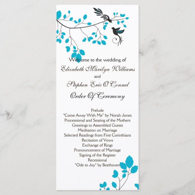 Love Birds Blue Program (Front)