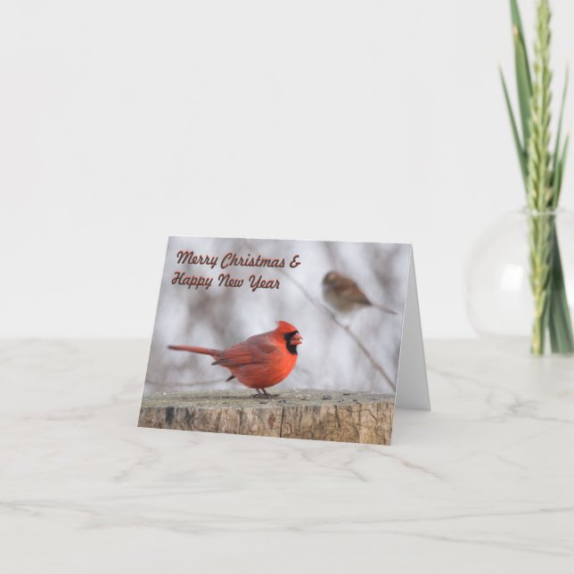 Love Birds Christmas Cards (Front)