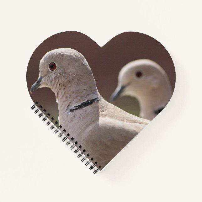 Love Birds Notebook (Front)