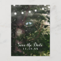 Love Birds + Pine Tree Night Save the Date