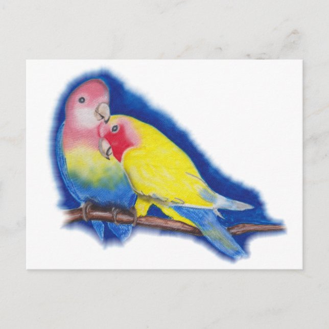 Love Birds Postcard (Front)