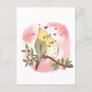 Love Birds Postcard