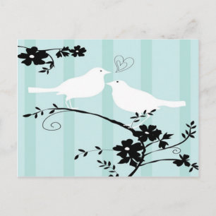Love Birds Postcard