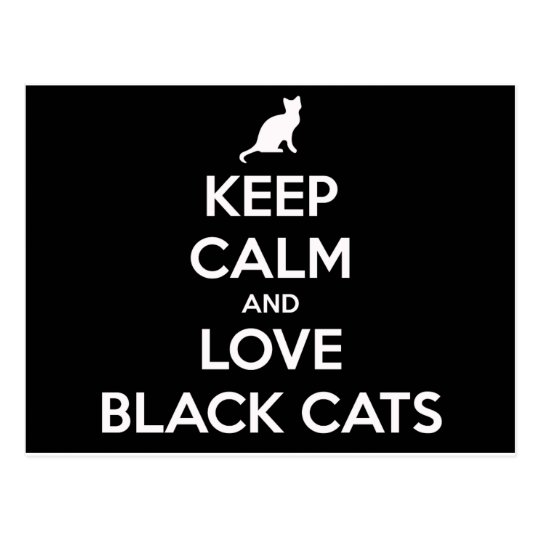 Love Black Cats Postcard