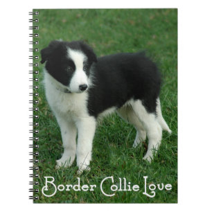 Love Black & White Border Collie Puppy Dog Journal