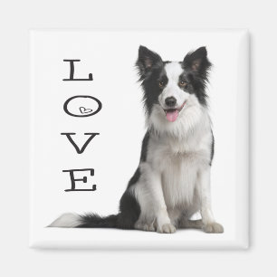 Love Black & White Border Collie Puppy Dog Magnet