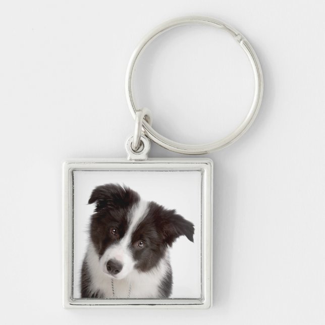 Love Border Collie Puppy Dog Keychain (Front)
