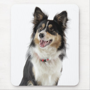 Love Border Collie Puppy Dog Mousepad
