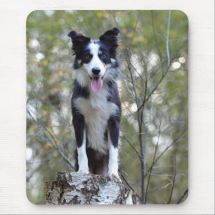Love Border Collie Puppy Dog Mousepad