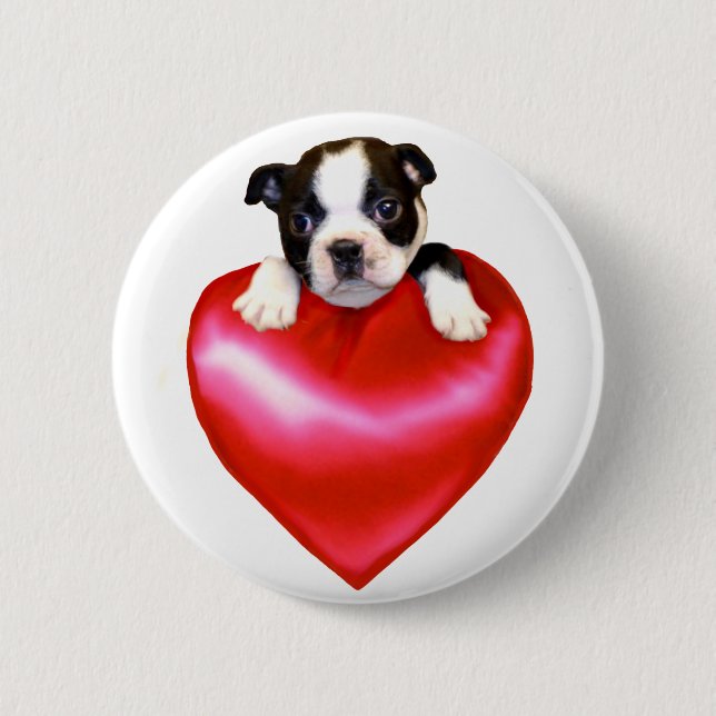 Love Boston Terrier button (Front)