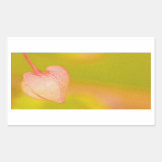 love bows out sticker