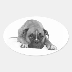 Love Boxer Puppy Dog Black & White Sticker / Seal