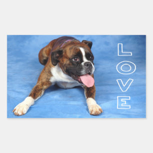 Love Boxer Puppy Dog Blue Sticker / Seal