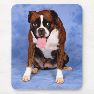 Love Boxer Puppy Dog On Blue Canine Mouse Pad