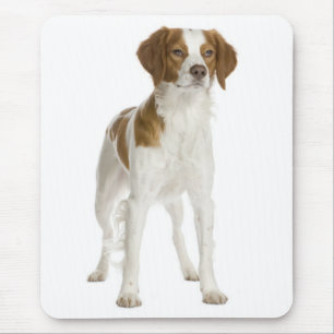 Love Brittany Spaniel Puppy Dog Mousepad