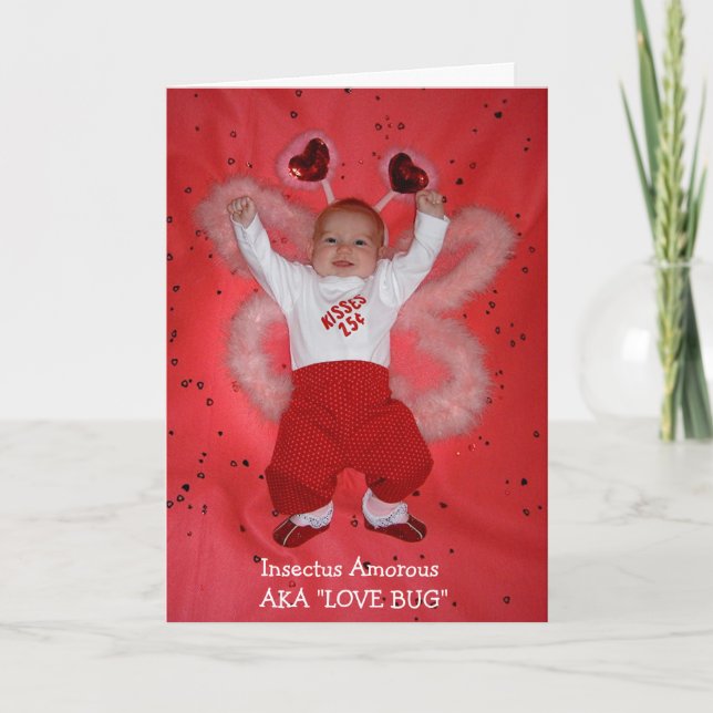 Love Bug Holiday Card (Front)
