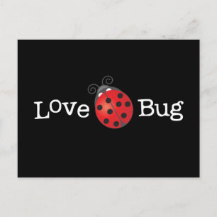 Love Bug - Ladybug Postcard