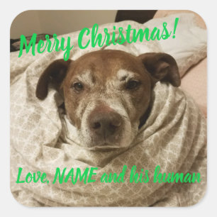 Love Bullet and His Human Square Sticker